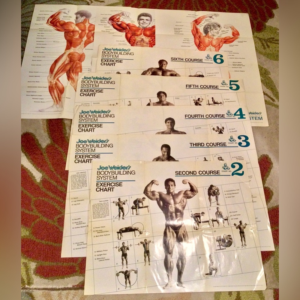 Weider Bodybuilding System 1997 Joe Weider’s Foldout Exercise Charts & Posters